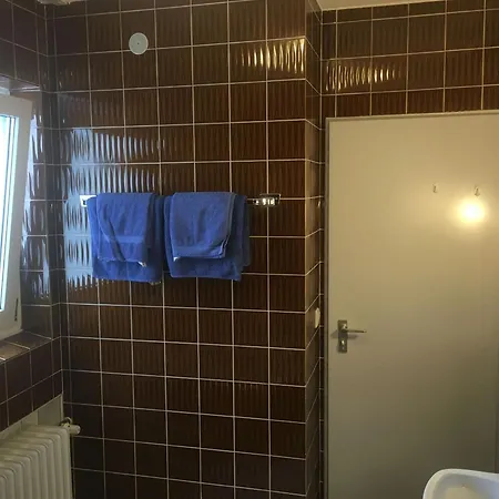 Zahn 巴德瓦德西